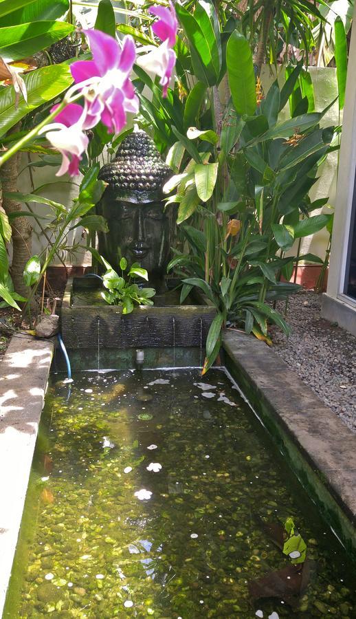 Villa Las Brisas تْشانديداسا المظهر الخارجي الصورة